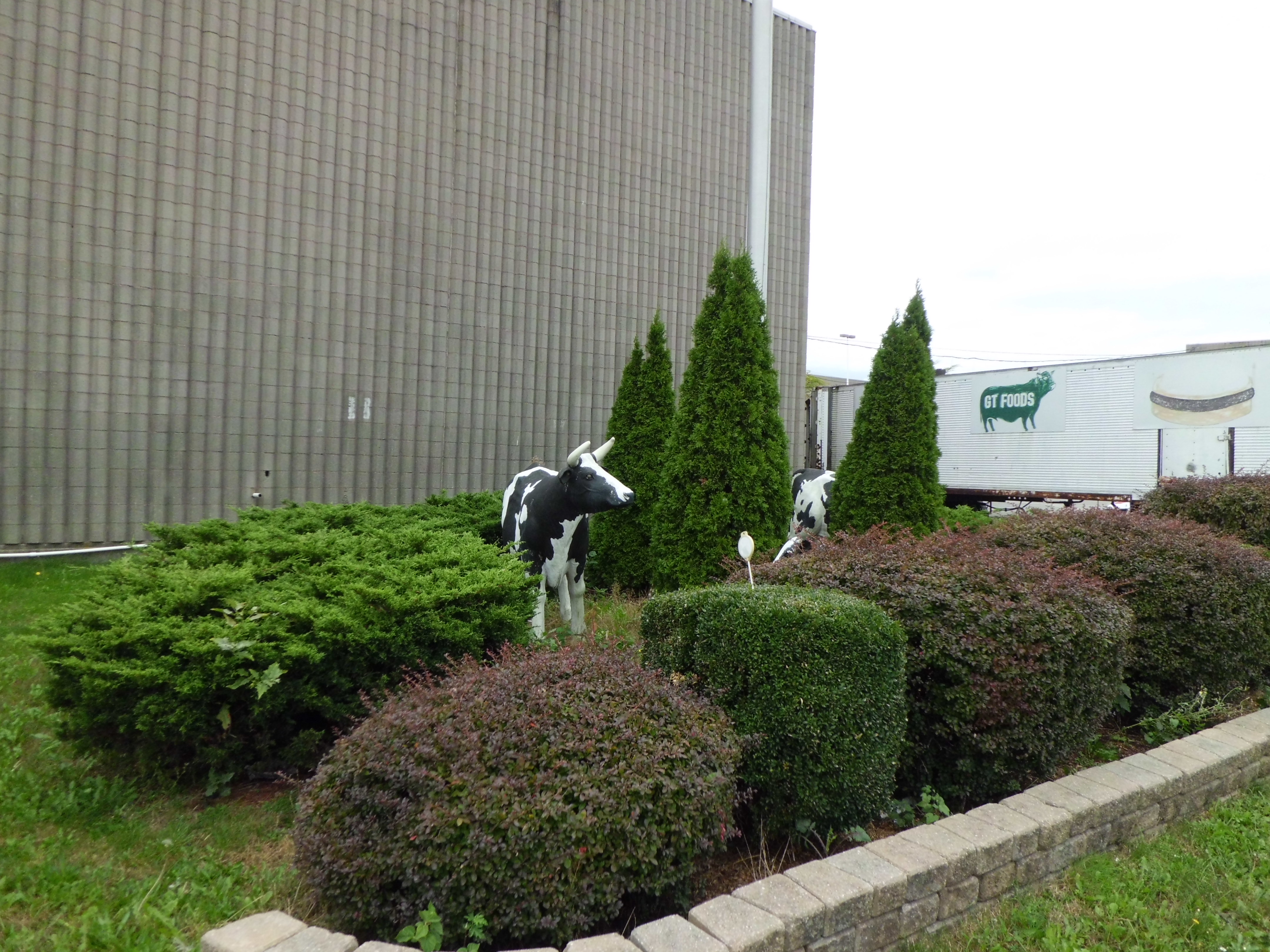 Meat market faces uncertain future