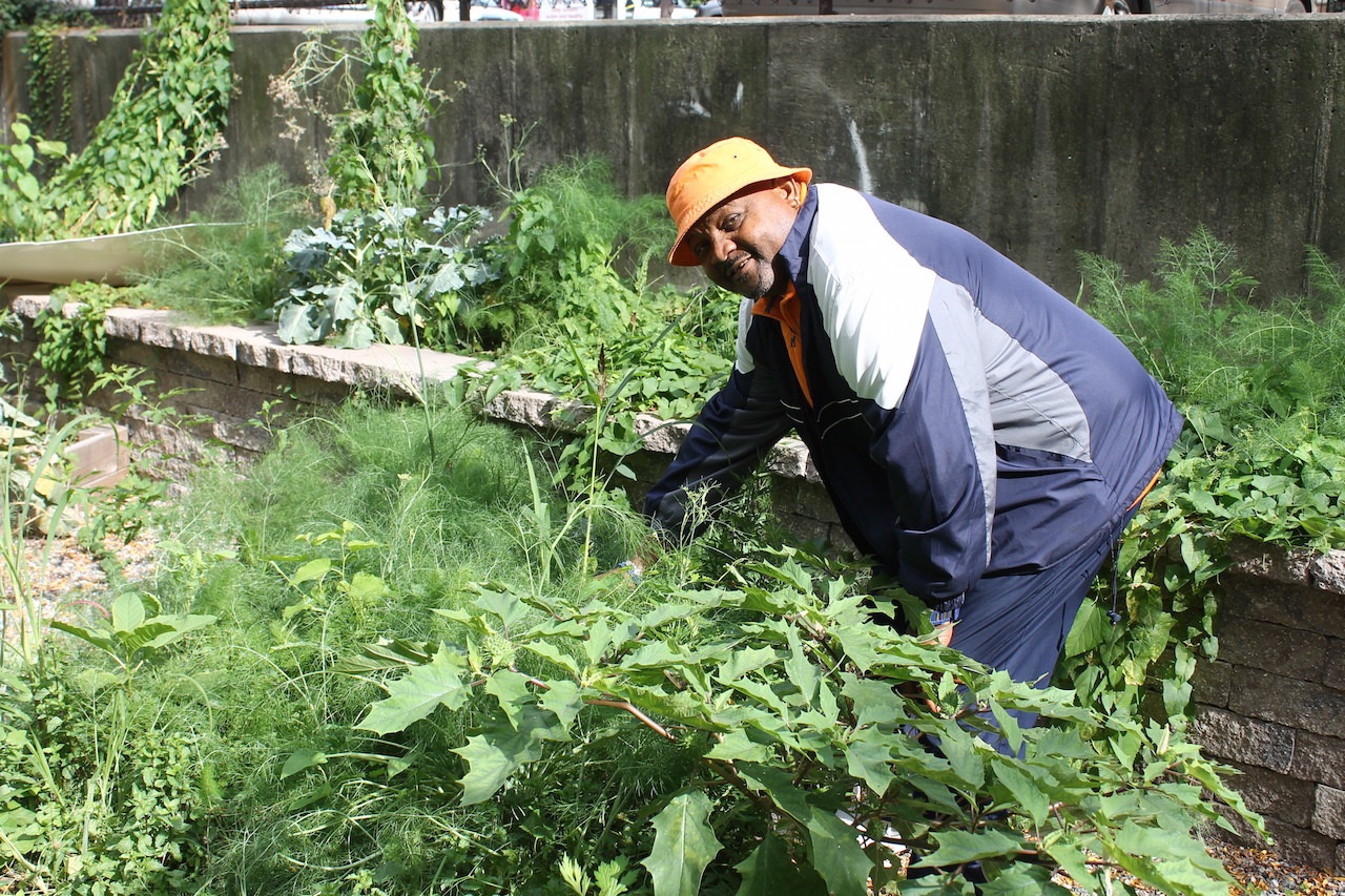 Kelly Street neighbors unite around garden