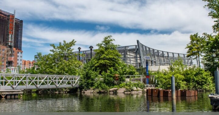 Celebrate Earth Week on The Bronx River